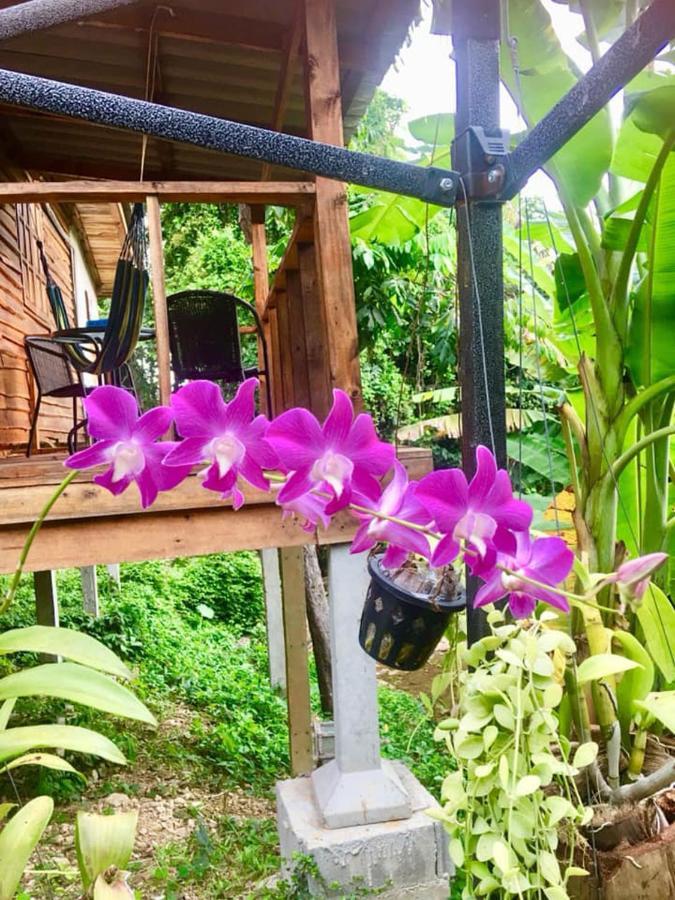 Lanta A Toi House Otel Ko Lanta Dış mekan fotoğraf